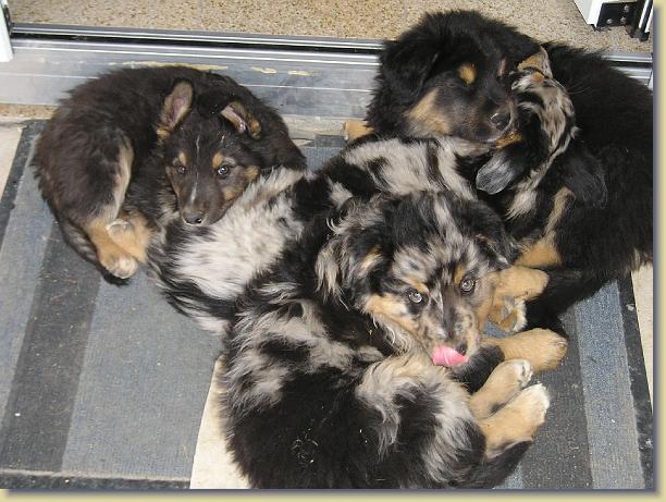 Letztes Bild erreicht